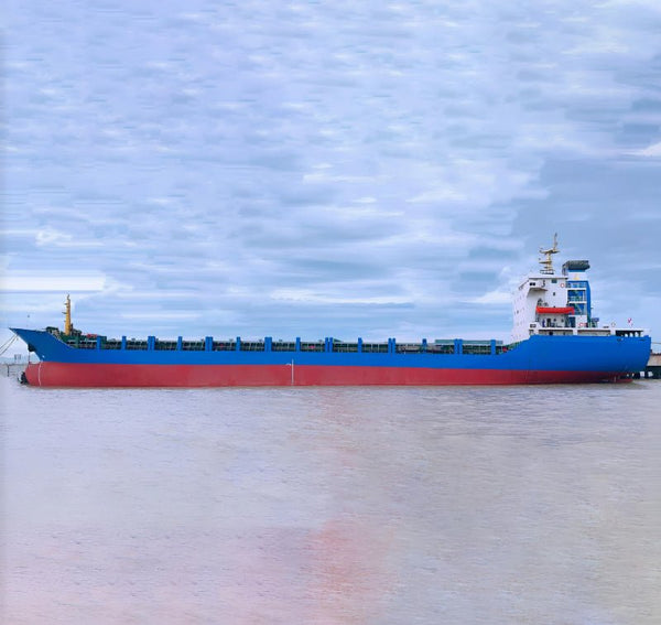 2008 Built 10000 DWT 720 TEU Container Ship For Sale | Ship for Sale | ShipsTrading
