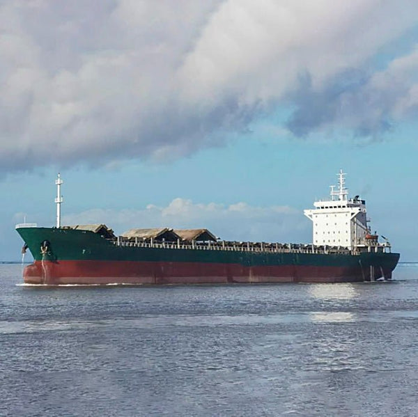 2009 Built 21000 DWT Multipurpose Vessel For Sale | Ship for Sale | ShipsTrading
