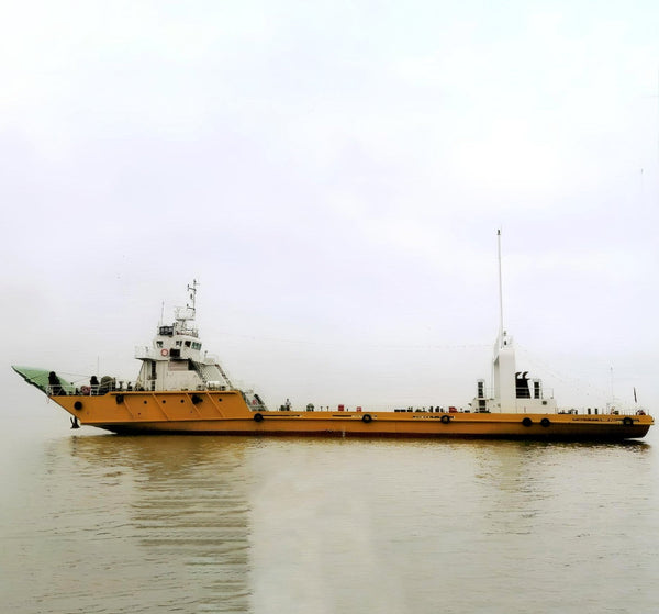2019 Built RoRo Pax For Sale | Ship for Sale | ShipsTrading