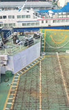 1998 Built RoRo Pax For Sale - 5 - ShipsTrading