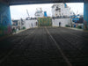 1998 Built RoRo Pax For Sale - 9 - ShipsTrading