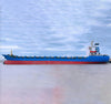 2008 Built 10000 DWT 720 TEU Container Ship For Sale