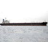 2002 Built 170000 DWT Bulk Carrier For Sale - 5 - ShipsTrading
