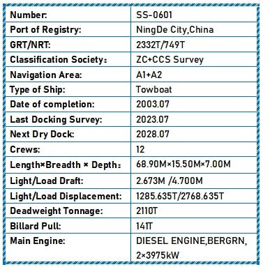 2003 Built 2100 DWT Towboat For Sale - 4 - ShipsTrading
