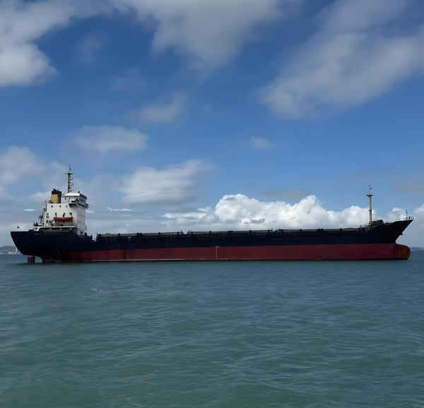 2005 Built 10400 DWT Multipurpose Vessel For Sale - 2 - ShipsTrading