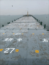 2007 Built 11400 DWT Multipurpose Vessel For Sale - 3 - ShipsTrading