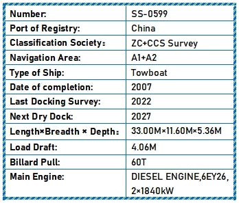 2007 Built Towboat For Sale - 2 - ShipsTrading