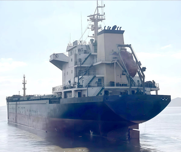 2008 Built 15600 DWT Bulk Carrier For Sale - 4 - ShipsTrading