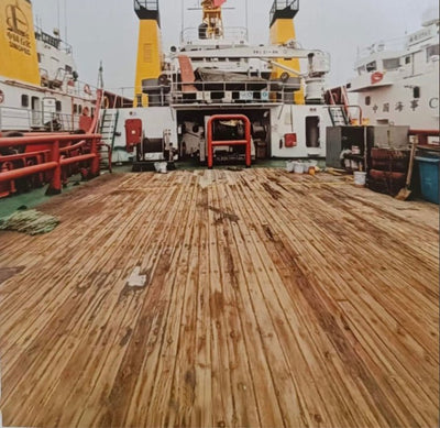 2009 Built 200 DWT Towboat For Sale - 3 - ShipsTrading