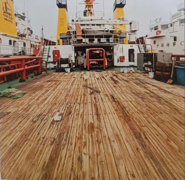 2009 Built 200 DWT Towboat For Sale - 3 - ShipsTrading