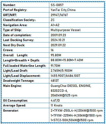 2009 Built 4800 DWT Multipurpose Vessel For Sale - 13 - ShipsTrading