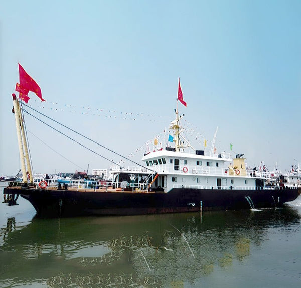 2010 Built 200 DWT Anchor Vessel For Sale | Ship for Sale | ShipsTrading