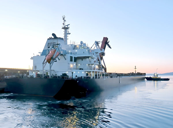 2011 Built (2024 Rebuilt) 68000 DWT Bulk Carrier For Sale - 4 - ShipsTrading
