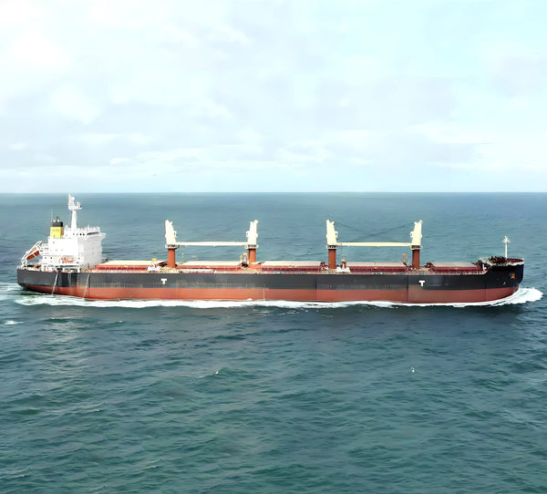 2011 Built 56000 DWT Bulk Carrier For Sale - 3 - ShipsTrading