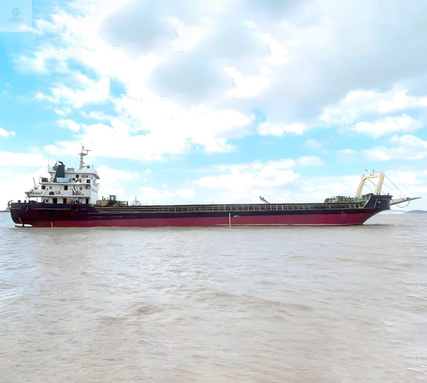 2017 Built 2900 DWT Landing Craft Tank For Sale | Ship for Sale | ShipsTrading