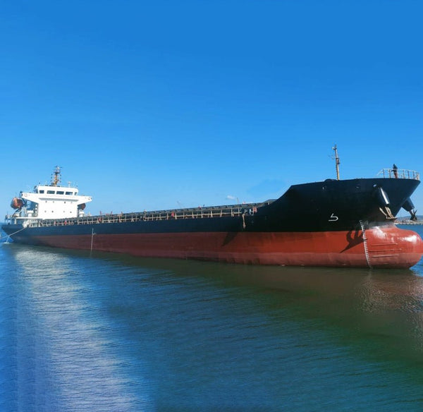 2017 Built 7100 DWT Bulk Carrier For Sale - ShipsTrading