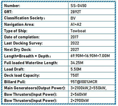 2017 Built Towboat For Sale - 4 - ShipsTrading