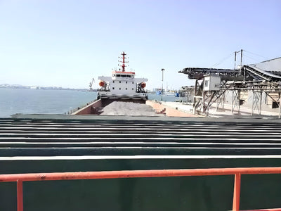 2018 Built 6500 DWT Bulk Carrier For Sale - 3 - ShipsTrading