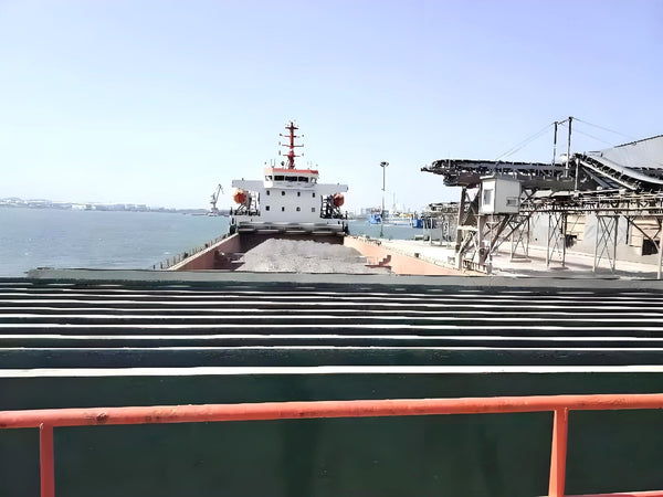 2018 Built 6500 DWT Bulk Carrier For Sale - 3 - ShipsTrading