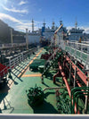 2018 Built 6650 DWT Oil Tanker For Sale - 5 - ShipsTrading