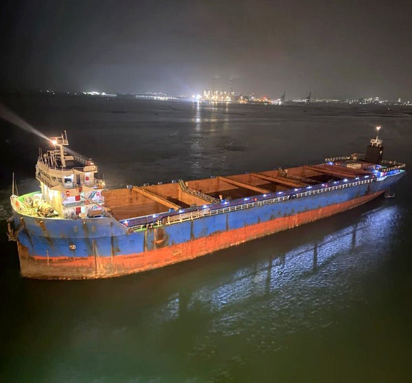2019 Built 13100 DWT 1000 TEU Container Ship For Sale | Ship for Sale | ShipsTrading