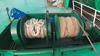 2020 Built 6600 DWT Landing Craft Tank For Sale - 6 - ShipsTrading