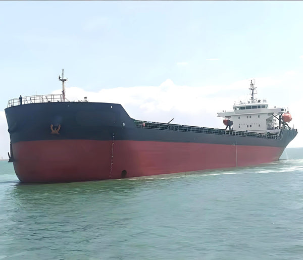 2020 Built 9800 DWT Bulk Carrier For Sale | Ship for Sale | ShipsTrading