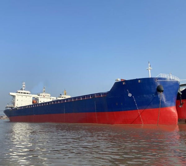 2021 Built 11000 DWT 651 TEU Container Ship For Sale | Ship for Sale | ShipsTrading