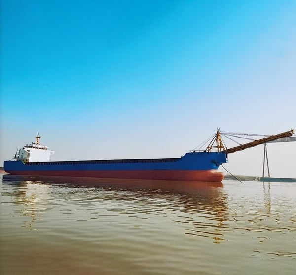 2021 Built 11500 DWT Self-Puming Unloading Sand Ship For Sale | Ship for Sale | ShipsTrading