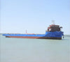 2021 Built 12000 DWT Landing Craft Tank For Sale - 2 - ShipsTrading