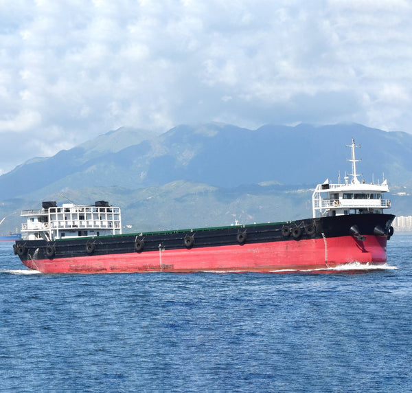 2021 Built 3800 DWT Multipurpose Vessel For Sale | Ship for Sale | ShipsTrading