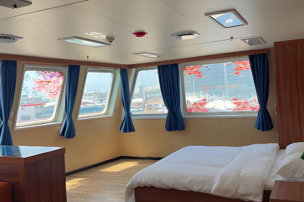 2021 Built Cruise ship For Sale - 6 - ShipsTrading