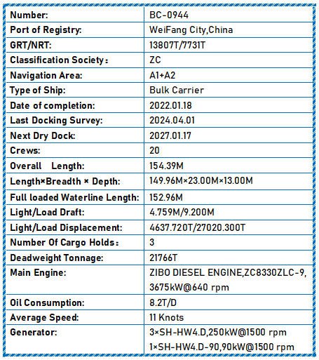 2022 Built 22000 DWT Bulk Carrier For Sale - 10 - ShipsTrading