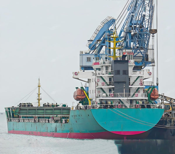 2023 Built 12000 DWT Bulk Carrier For Sale - 1 - ShipsTrading