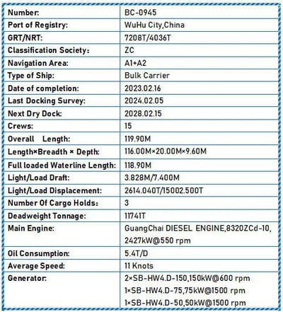 2023 Built 12000 DWT Bulk Carrier For Sale - 11 - ShipsTrading