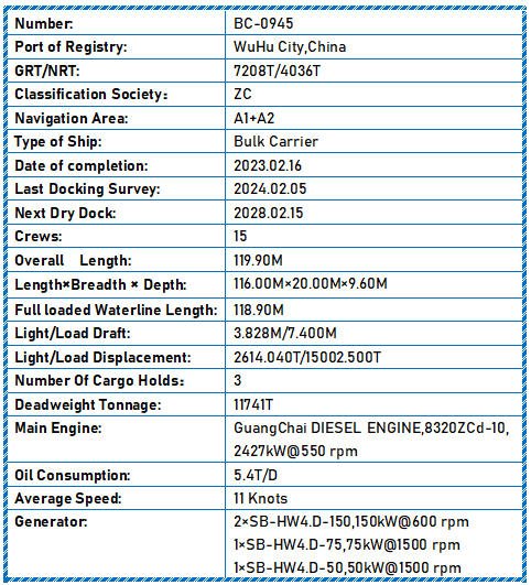2023 Built 12000 DWT Bulk Carrier For Sale - 11 - ShipsTrading