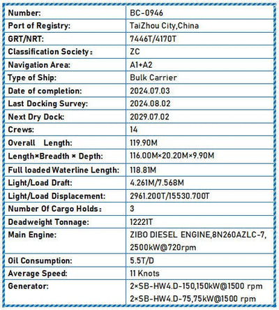 2024 Built 12000 DWT Bulk Carrier For Sale - 4 - ShipsTrading