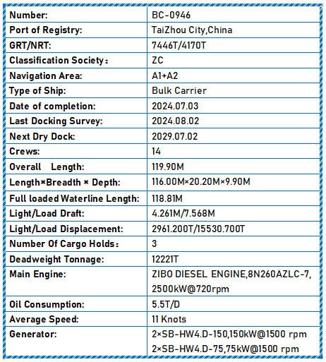 2024 Built 12000 DWT Bulk Carrier For Sale - 4 - ShipsTrading