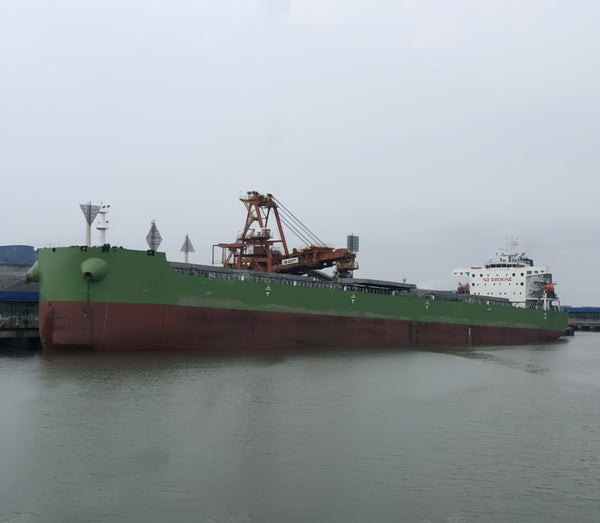 2024 Built 64000 DWT Bulk Carrier For Sale - 4 - ShipsTrading