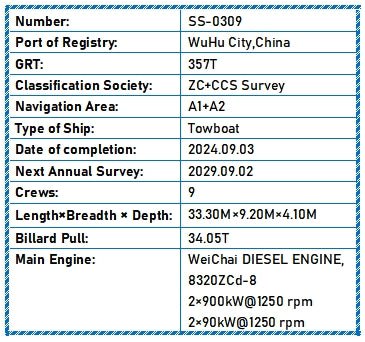 2024 Built Towboat For Sale - 18 - ShipsTrading