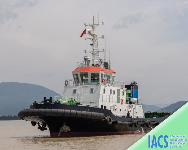 2024 Built Towboat For Sale | Ship for Sale | ShipsTrading