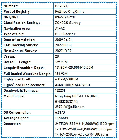 2009 Built 13000 DWT Cargo Ship For Sale