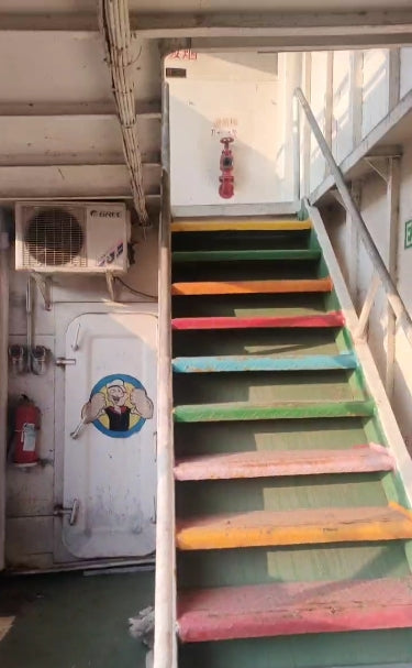 1998 Built RoRo Pax For Sale