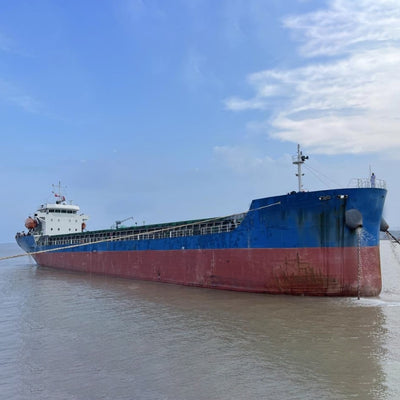 2021 Built 6700 DWT Bulk Carrier For Sale