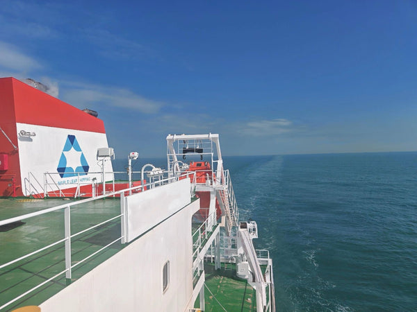 2025 Built 13500 DWT Chemical Tanker For Sale - 4 - ShipsTrading