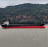 2019 Built 14000 DWT Bulk Carrier For Sale