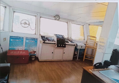 2009 Built 200 DWT Towboat For Sale