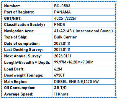 2021 Built 6700 DWT Bulk Carrier For Sale