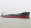 2010 Built 12000 DWT Bulk Carrier For Sale