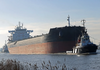 2023 Built 81000 DWT Bulk Carrier For Sale